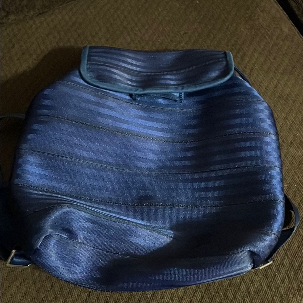 Harveys Blue Backpack